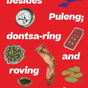 Deal Simnikiwe Buhlungu: besides Puleng; dontsa-ring and roving preoccupations
