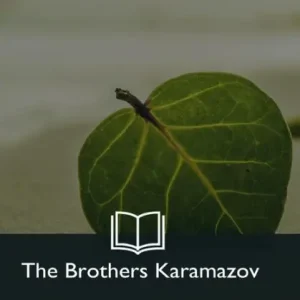 Factory Price The Brothers Karamazov
