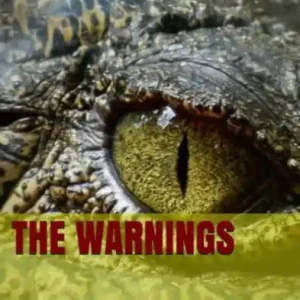 The Warnings Authentic