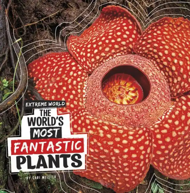 The World's Most Fantastic Plants Buy Direct