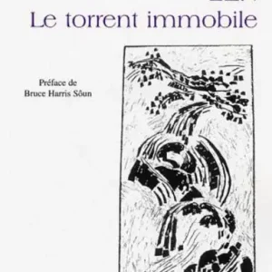 Hot Deal Zen.: Le torrent immobile