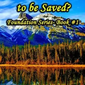 What Must I Do to be Saved?: Foundation Series- Book #1 Special Discount
