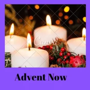 Advent Now (Sacred Seasons, #1) Same Day Shipping