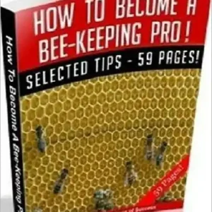 How to Become a Bee Keeping Pro and Market Your Honey Bargain
