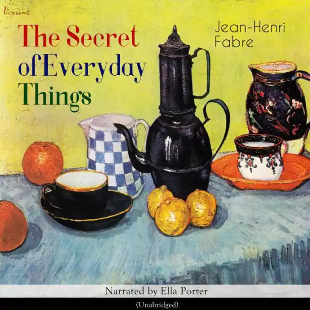 Order Now The Secret of Everyday Things: Unabridged