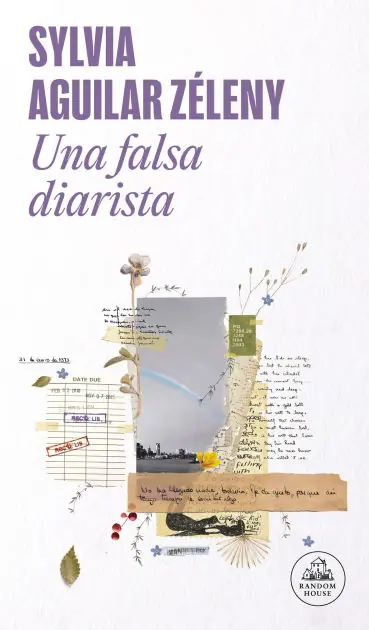 Low Price Una falsa diarista