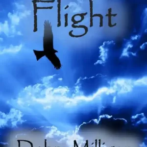 Direct From Manufacturer Flight