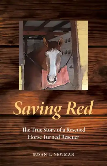 Free Shipping Saving Red: The True Story of a Rescued Horse Turned Rescuer