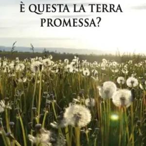 È questa la terra promessa? Factory Price
