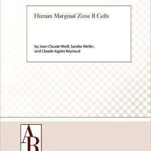 Human Marginal Zone B Cells Trending