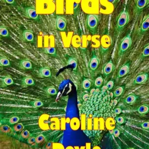 Special Discount Birds In Verse