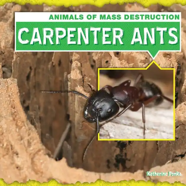 Carpenter Ants Brand New