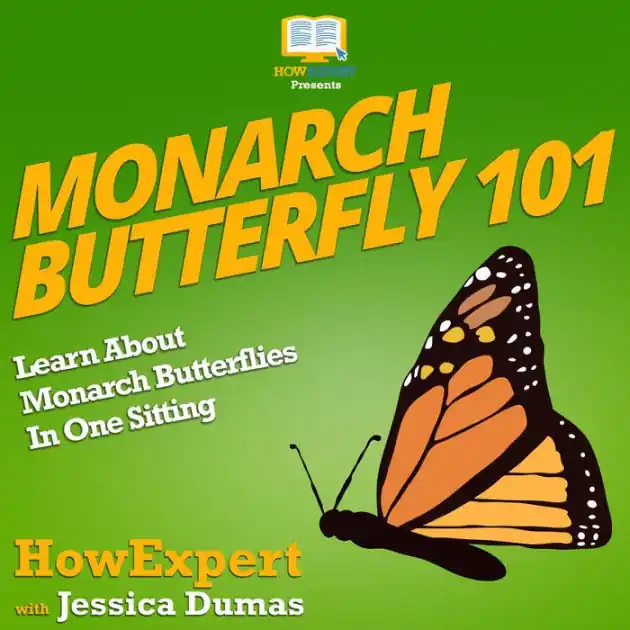 Monarch Butterfly 101: Learn About Monarch Butterflies In One Sitting Viral