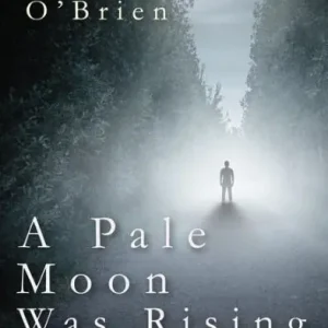 Today Only A Pale Moon was Rising