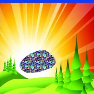 The Magic Pebble Money Back Guarantee
