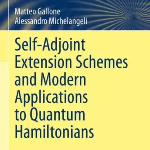 Self-Adjoint Extension Schemes and Modern Applications to Quantum Hamiltonians Brand New