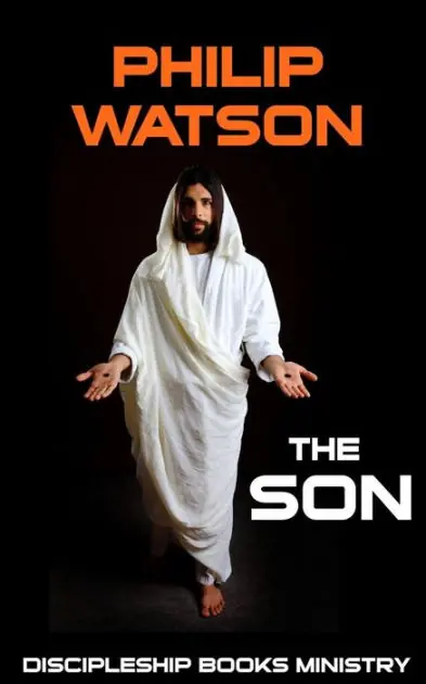 Big Sale The Son