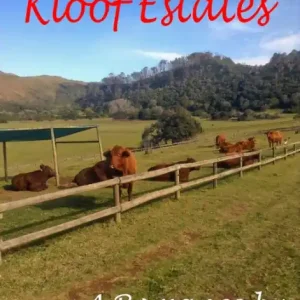 Crafted Kloof Estates