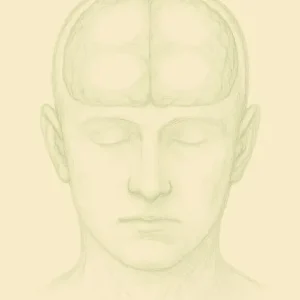 Final Sale The 4-Chunk Cognitive Model
