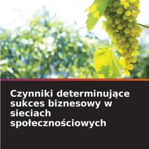 Czynniki determinujące sukces biznesowy w sieciach spolecznościowych Get Yours