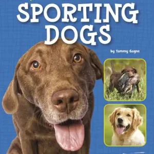 Shop Now Spaniels, Retrievers, and Other Sporting Dogs