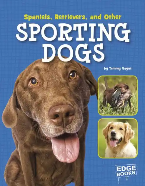 Shop Now Spaniels, Retrievers, and Other Sporting Dogs
