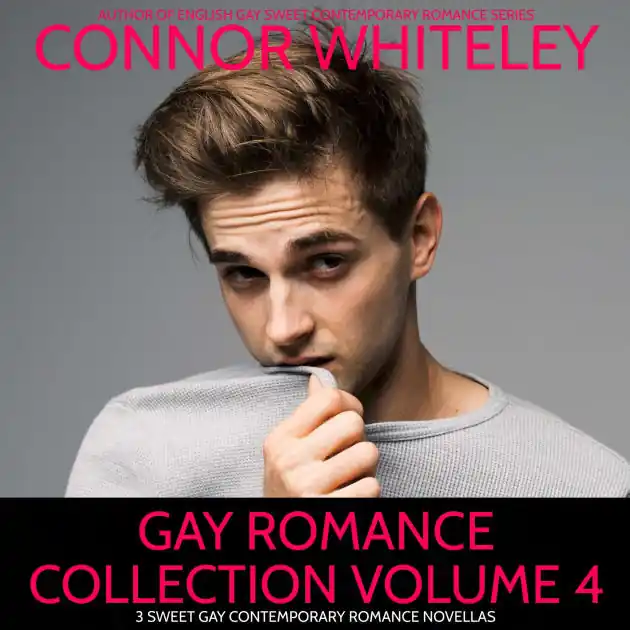 Luxury Gay Romance Collection Volume 4: 3 Sweet Gay Contemporary Romance Novellas