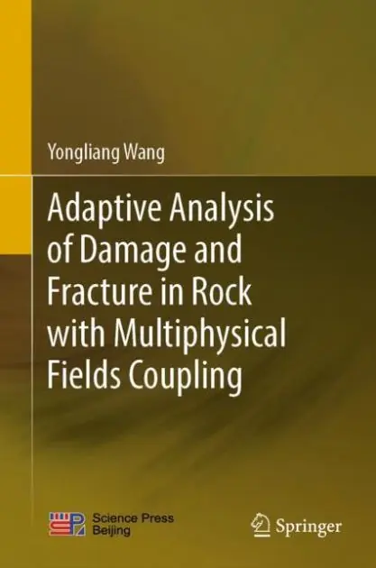 Editor’s Pick Adaptive Analysis of Damage and Fracture in Rock with Multiphysical Fields Coupling