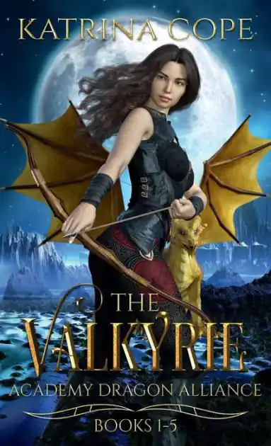 Deal Valkyrie Academy Dragon Alliance: Collection Books 1-5