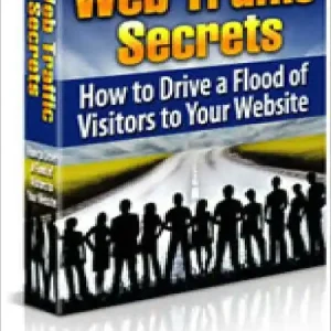 Viral Web Traffic Secrets