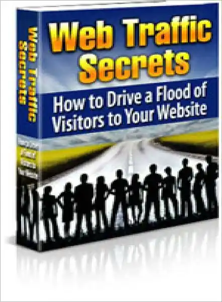 Viral Web Traffic Secrets