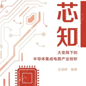 Price Drop Silicon Insights: An Analysis of the Semiconductor and IC Industry in an Era of Great Upheaval/芯知：大变局下的半导体集成电路产业剖析