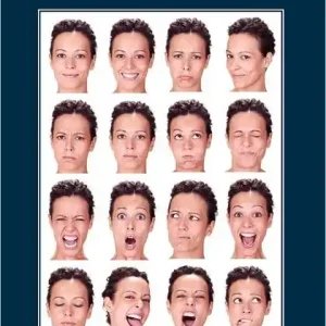 Final Sale Theological Handbook on Emotions