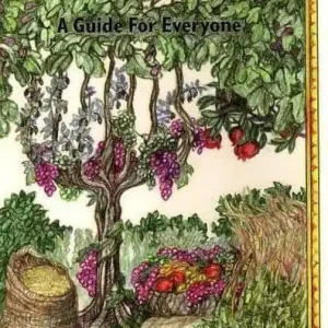 Super Sale Vegetarian Judaism: A Guide for Everyone