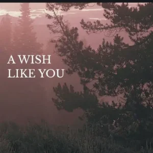 A wish like you Must Have