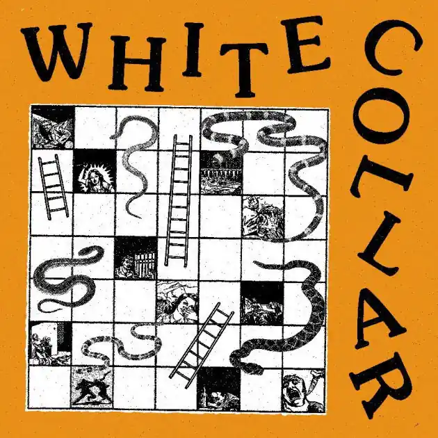 White Collar Fresh Stock