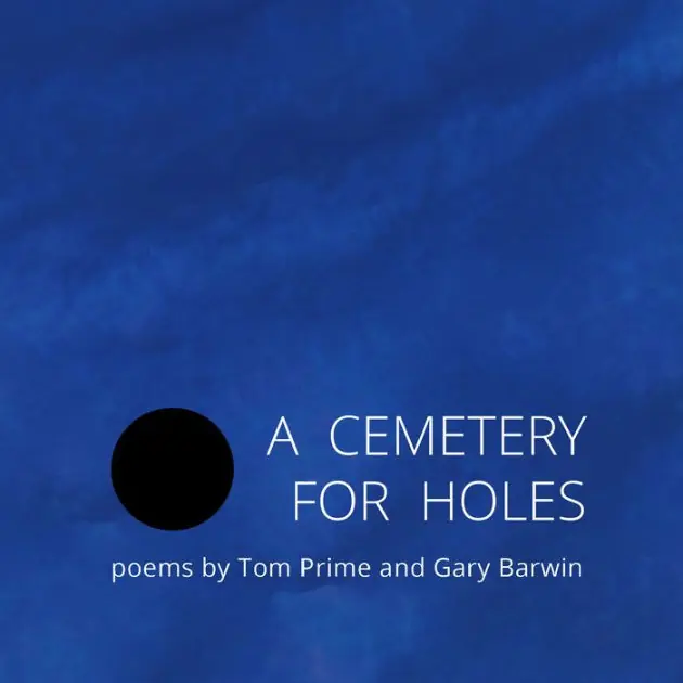 A Cemetery for Holes Cheap