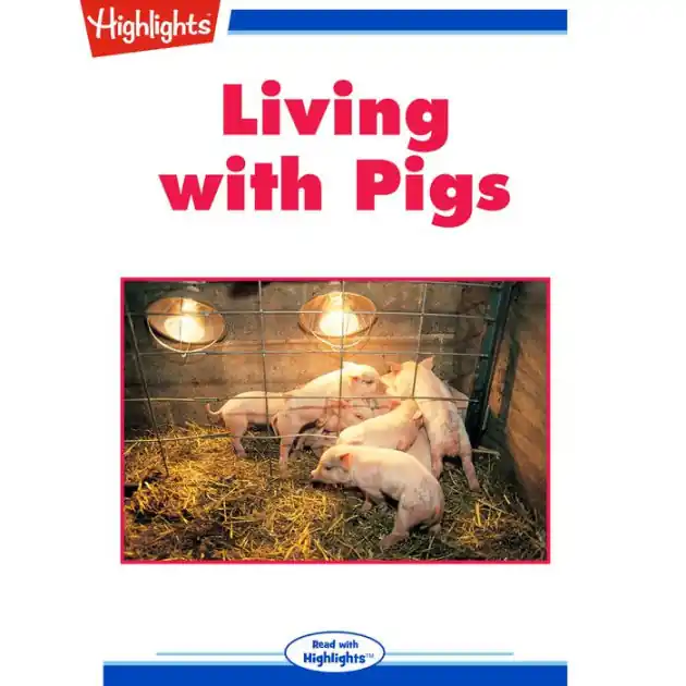 Express Delivery Living with Pigs