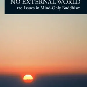 Last Chance Absorption in No External World: 170 Issues in Mind-Only Buddhism