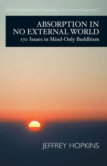 Last Chance Absorption in No External World: 170 Issues in Mind-Only Buddhism