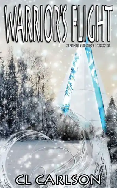 Warrior's Flight Direct From Manufacturer