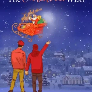 The Christmas Wish Special Offer