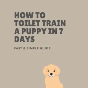 How to Toilet Train a Puppy in 7 Days - Fast & Simple Guide! Weekend Sale