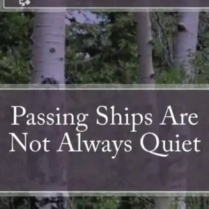 Passing Ships Are Not Always Quiet Best Seller