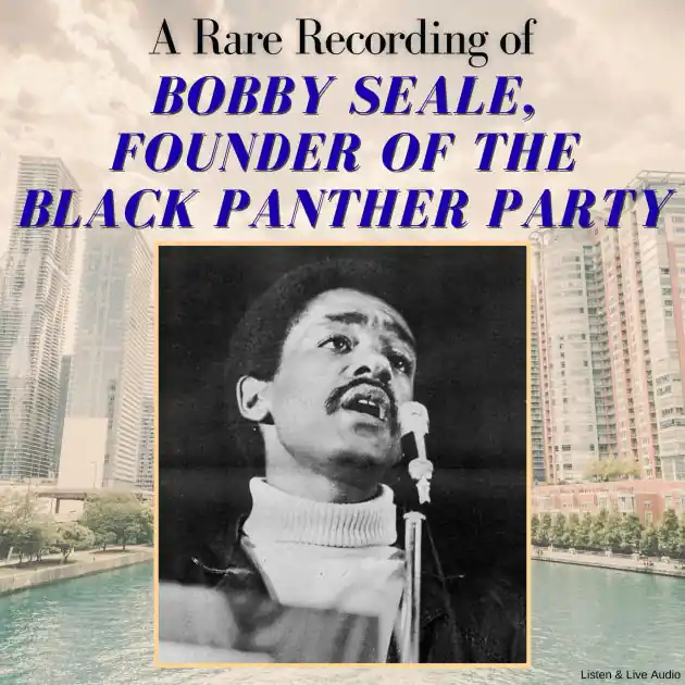 A Rare Recording of Bobby Seale, Founder of the Black Panther Party Best Seller