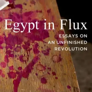 Latest Egypt in Flux: Essays on an Unfinished Revolution