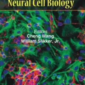 Secure Checkout Neural Cell Biology