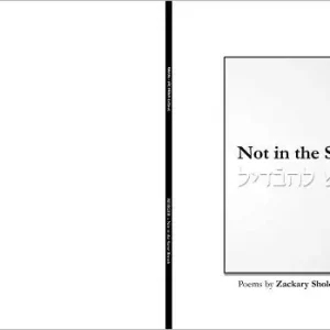 Not in the Same Breath: A Yiddish & English Book of Poetry Big Sale