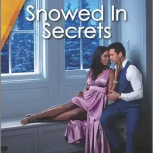 Place Order Snowed In Secrets: A Mistaken Identity Workplace Romance