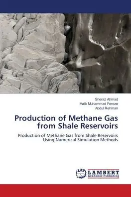 Production of Methane Gas from Shale Reservoirs Handmade